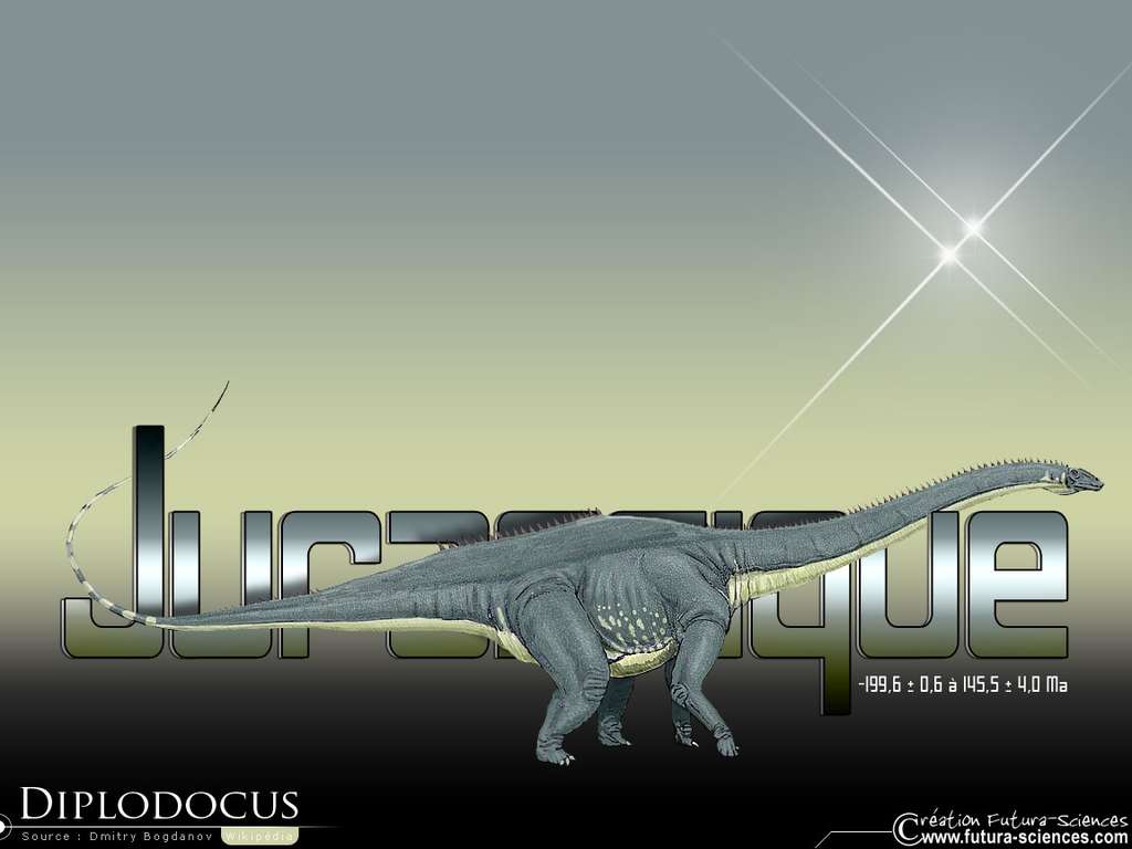 Diplodocus Diplodocus
