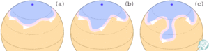 Les méandres du jet stream de l’hémisphère nord. En bleu figurent les masses d’air froides et en orange les masses chaudes. En cas de blocage du jet stream (c), celui-ci adopte un parcours en « S » qui permet aux masses d’air froides de descendre. © W, Wikimédia CC by-sa 3.0
