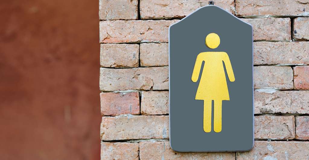 L'incontinence urinaire est une affection qui peut se soigner. © FocusDzign, Shutterstock 
