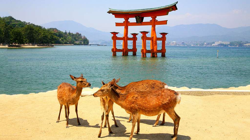 Le portique flottant de Miyajima Le portique flottant de Miyajima