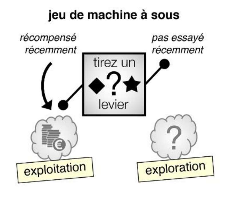 Les participants au jeu de machines à sous avaient deux choix, les symboles étant associés à des récompenses incertaines. Les chercheurs ont constaté que plus de la moitié des choix habituellement considérés comme relevant de la curiosité était en réalité due à des erreurs d'évaluation. © Inserm