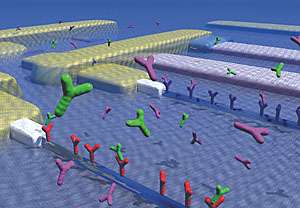Schéma de principe des premiers prototypes étudiés par l'équipe. Les molécules à isoler sont présentes dans la solution qui circule au-dessus de la puce électronique et s'accrochent spécifiquement sur les nanofils de silicium. © Yale University
