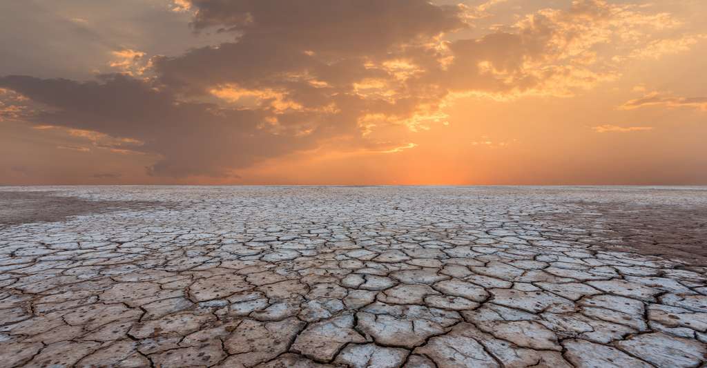 La chaleur de l'océan Pacifique aggrave la sécheresse des terres situées à proximité, l'ouest du continent américain. © yotrakbutda, Adobe Stock