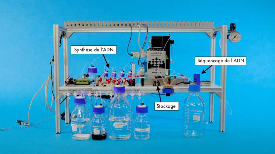 Les bits sont encodés sous forme de base ADN, puis envoyés vers la machine, qui synthétise les brins d’ADN à l’aide de produits chimiques et les stocke dans des bouteilles. Pour être reconverti, l’ADN est extrait du liquide, puis passé dans un séquenceur automatique et traduit en bits par le logiciel. © CD/Microsoft