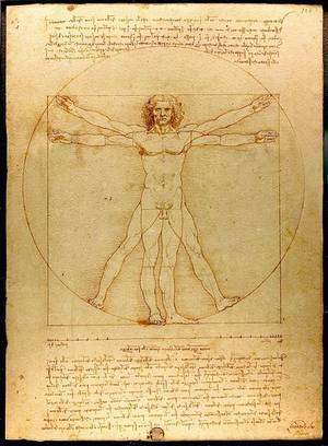 L'homme de Vitruve. Comme le montre ce célèbre dessin de son étude du corps humain, Léonard de Vinci ne posait pas de frontière entre l'art et la science. Il reprend ici les observations anthropométriques de l'architecte romain Vitruve, dont le travail sur les proportions du corps humain inspirera les artistes de la Renaissance. (Licence Commons)