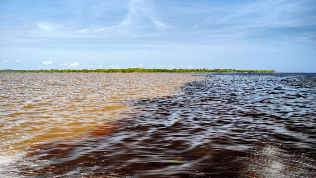 La rencontre des eaux du rio Solimões et du rio Negro La rencontre des eaux du rio Solimões et du rio Negro
