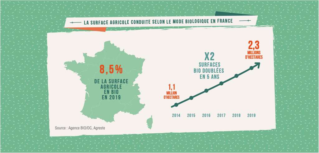 8,5 % des surfaces agricoles françaises sont cultivées en bio. © Agence BIO 8,5 % des surfaces agricoles françaises sont cultivées en bio. © Agence BIO