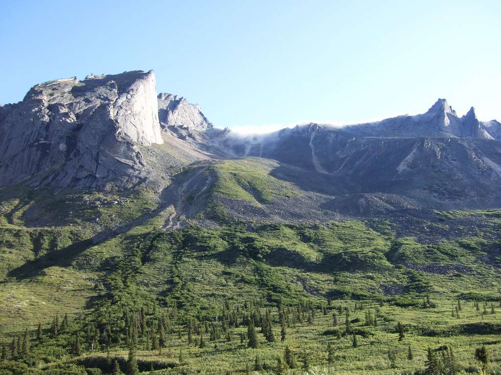 Dans le monde, une cinquantaine de pelouses alpines Dans le monde, une cinquantaine de pelouses alpines