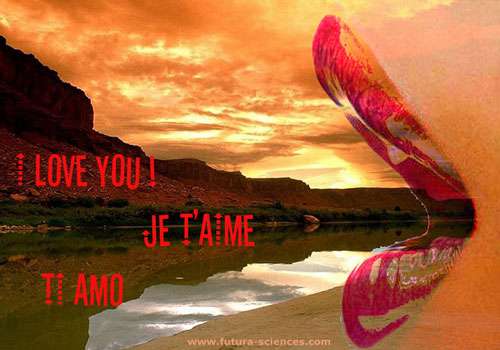 I Love You Je T Aime Ti Amo Carte Virtuelle