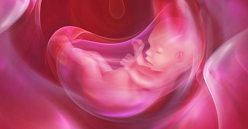 Le foetus ressent-il le stress de sa maman ? © Zffoto, Shutterstock 