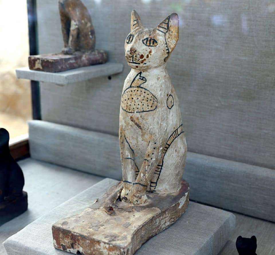 Des dizaines de momies de chats ont été découvertes dans des tombes de la nécropole de Saqqara en Égypte. © Ministère des antiquités égyptien