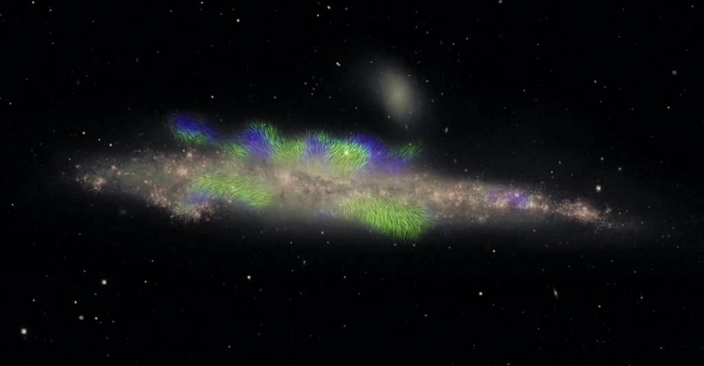 Cette image montre bien, en rose, le disque des étoiles de NGC 4631 et en vert et bleu, les cordes magnétiques qui s’étendent au-delà de ce disque, jusque dans le halo de la galaxie. © Continuum HAlos in Nearby Galaxies - an EVLA Survey