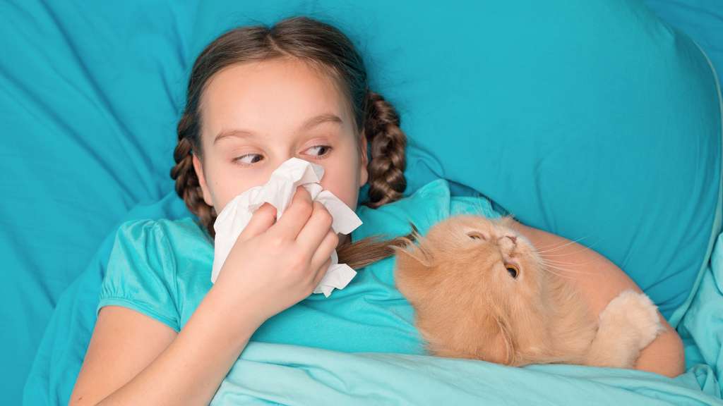 Dormir Avec Son Animal De Compagnie Une Bonne Ou Une Mauvaise Idee Dormir Avec Son Animal De Compagnie Une Bonne Ou Une Mauvaise Idee
