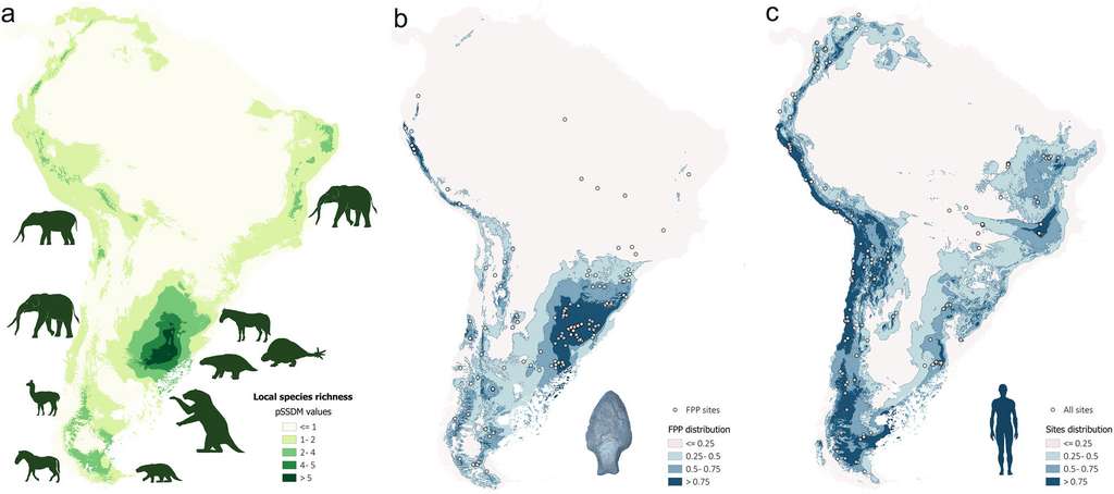 Co-occurrence de la mégafaune sud-américaine, des pointes de flèches et des populations humaines préhistoriques © Prates et Perez, 2021 Co-occurrence de la mégafaune sud-américaine, des pointes de flèches et des populations humaines préhistoriques © Prates et Perez, 2021
