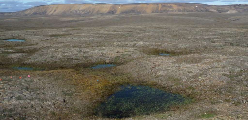 Des lacs créés par le dégel du permafrost arctique comme autant de sources d’émission de gaz à effet de serre. © Louise Farquharson, Université d’Alaska Fairbanks