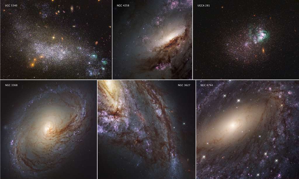Des chercheurs ont entraîné une intelligence artificielle à classer les galaxies suivant leur stade d’évolution. Cela peut les aider à mieux comprendre l’histoire et la vie des galaxies. ©️ Nasa, ESA, Legus Team