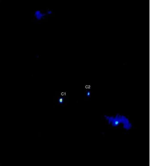 Sur cette image obtenue dans le domaine radio par le VLBA, apparaissent les deux trous noirs supermassifs, notés C1 et C2, accrétant de la matière, qu'ils chauffent et qui émet du rayonnement, visible à droite. © Bansal et al., NRAO/AUI/NSF