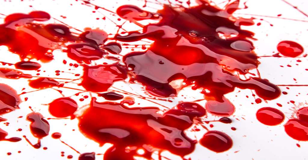 Les taches de sang sur une scène de crime permettent de comprendre l’enchaînement des événements. © Lukas Gojda, Fotolia