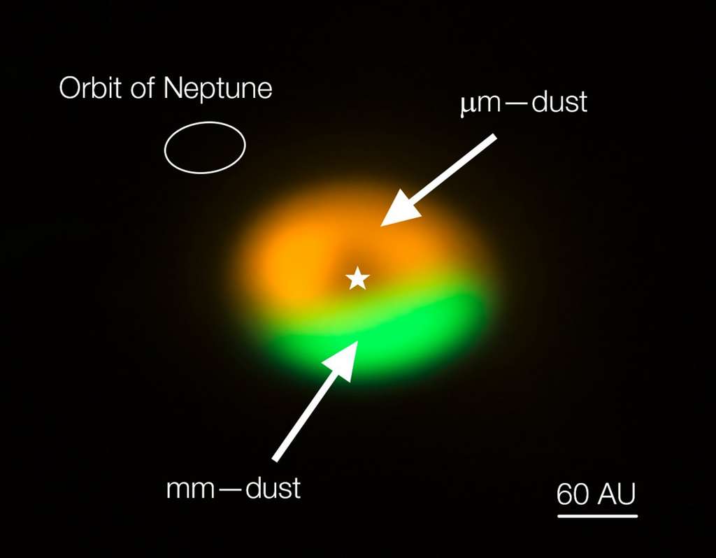 Voici l'image (couleurs non réelles) du disque de transition que montre Alma autour de Oph-IRS 48. Dans la zone orange se trouvent des grains de poussières de petites tailles, de l'ordre du micron. En vert, on observe des grains de la taille du millimètre. On est donc en présence d'un piège à poussières permettant à celles-ci de croître en taille comme dans la théorie proposée en 1995 par Pierre Barge et Joël Sommeria. L'échelle est donnée par la taille de l'orbite de Neptune en haut à gauche, et par la barre en bas à droite indiquant 60 fois la distance Terre-Soleil, donc 60 unités astronomiques (UA, AU en anglais). © Nienke van der Marel, Alma (ESO-Naoj-Nrao)