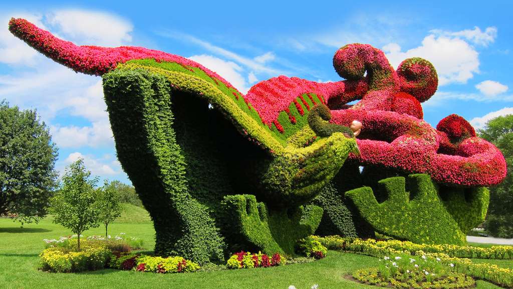 Sculpture végétale de phénix en fleurs de bégonia Sculpture végétale de phénix en fleurs de bégonia