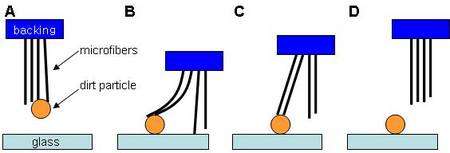 Schéma du phénomène. En A, les microfibres (microfibers), fixées sur le substrat (backing) portent une bille (dirt particle), restée collée. En B, les poils synthétiques sont appliqués sur une surface de verre (glass). En C, la bille est tenue à la fois par les microfibres et la surface. En D, la bille, qui adhère davantage à la surface qu'aux microfibres, reste collée sur le verre. © Ronald Fearing Lab./Dept. of Electrical Engineering/University of California, Berkeley