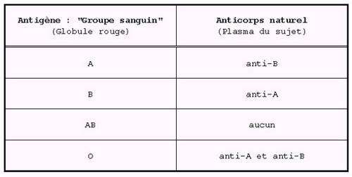 Les Anticorps Proteines Du Groupe Des Immunoglobulines Dossier