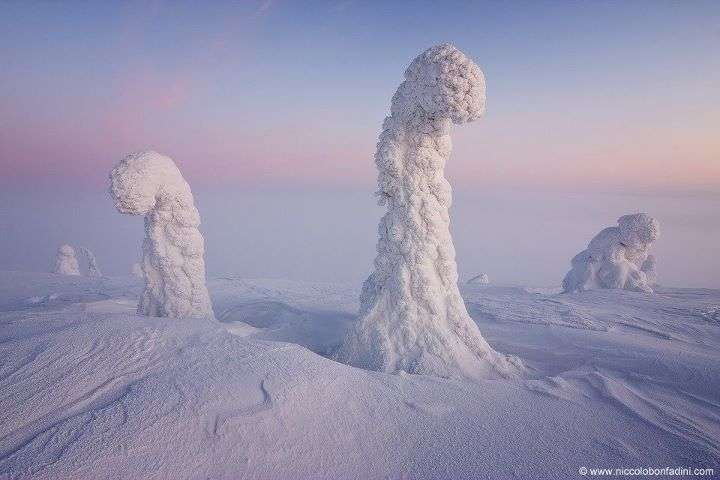 Géants des neiges Géants des neiges