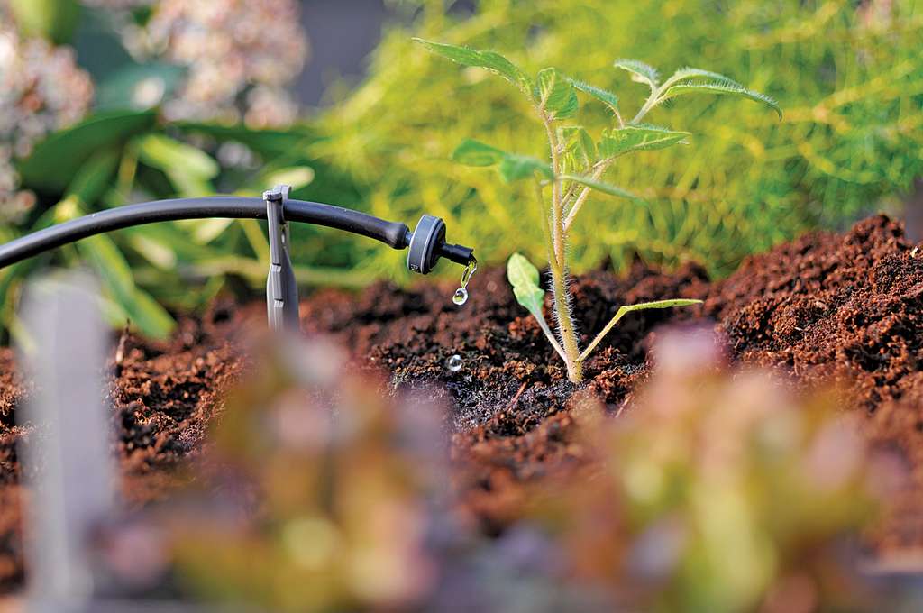 Des Kits De Micro Irrigation Pour Arroser Automatiquement Plantes Et Potager