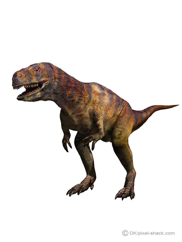 Photo L Abelisaure Ou Abelisaurus Un Carnivore Bipede