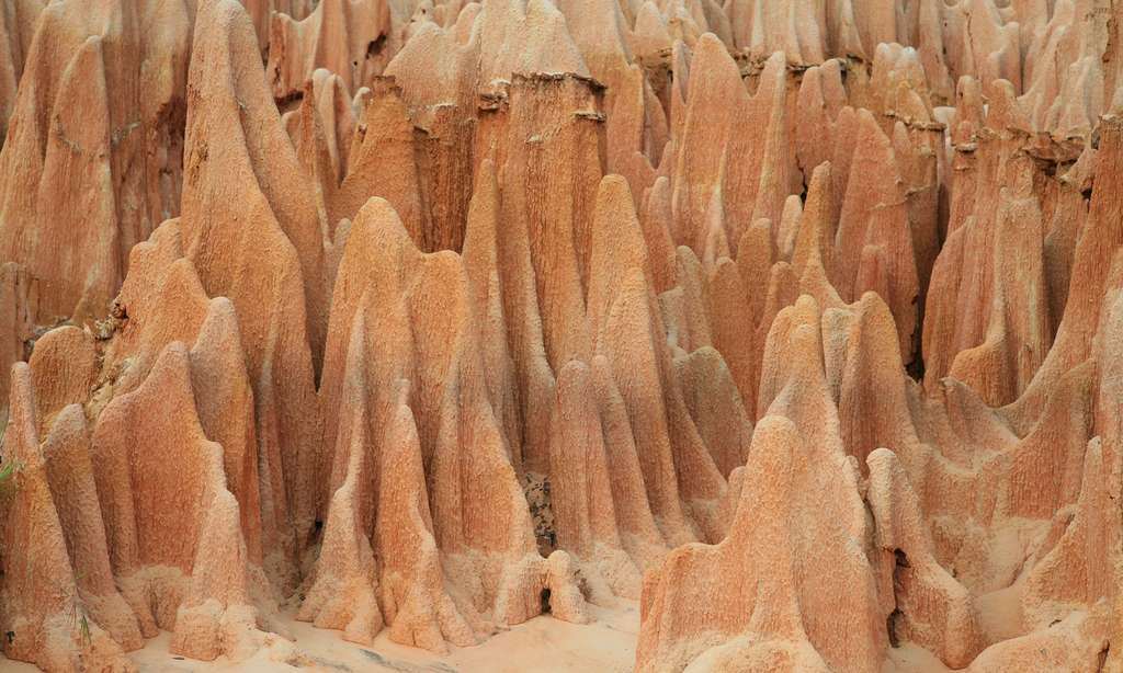 Les Tsingy rouges en détail Les Tsingy rouges en détail