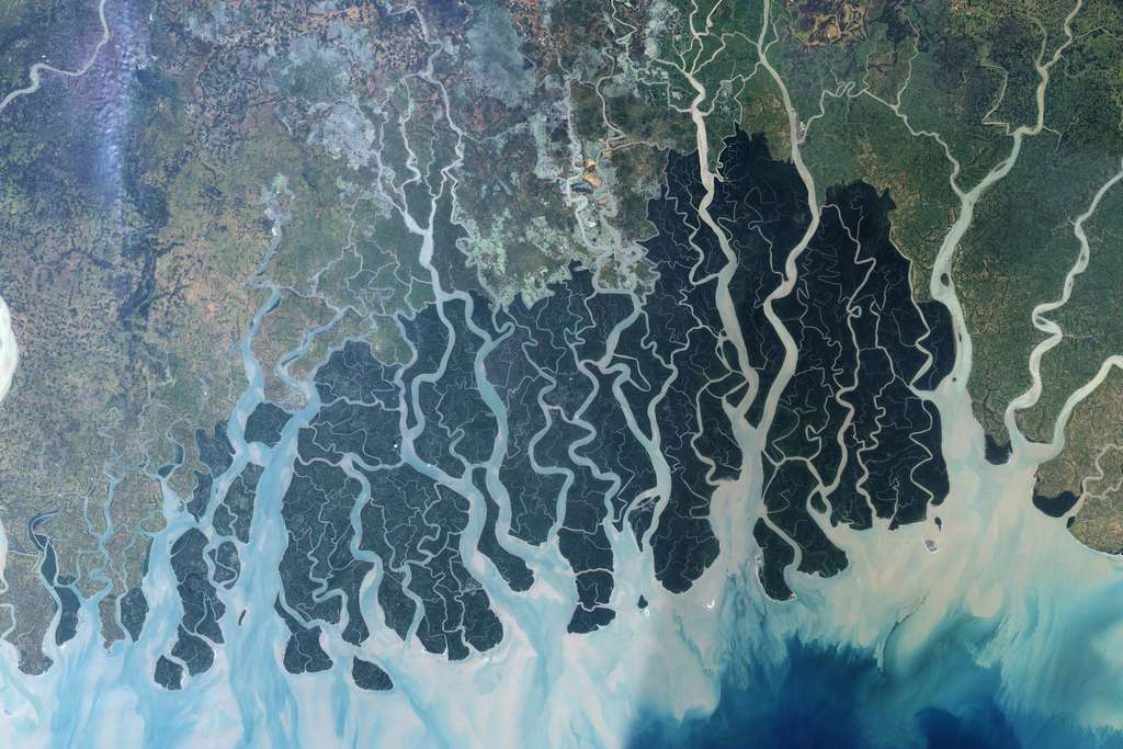 Un delta est un type d'embouchure que peut former un cours d'eau à l'endroit où il se jette dans un océan, une mer ou un lac © Nasa, Jesse Allen, Earth Observatory, University of Maryland's Global Land Cover Facility, DP