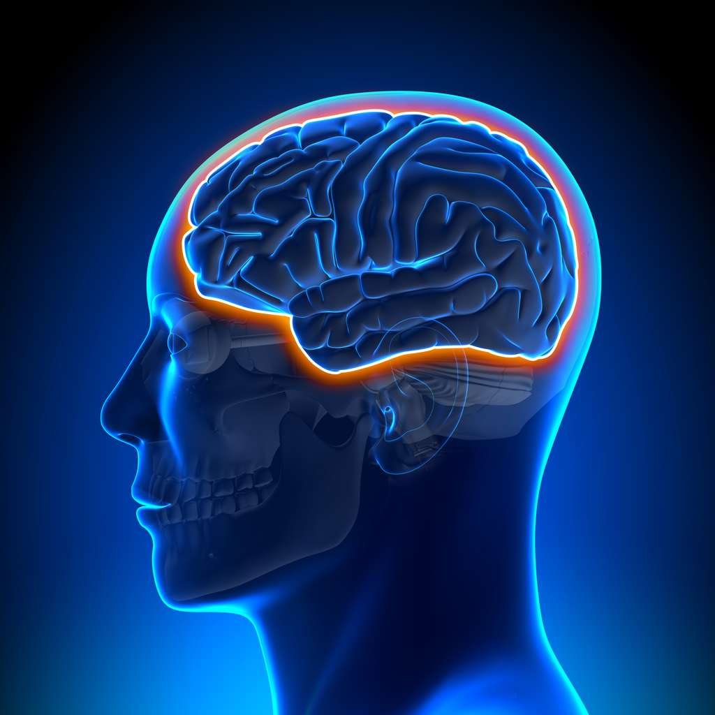 Notre cerveau est capable de traiter une énorme quantité d'informations. © decade3d, Adobe Stock
