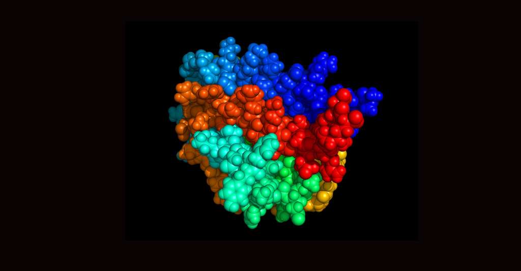 L’EPO, ou érythropoïétine, est une grosse molécule biologique comportant une partie protéique de 165 acides aminés. © DR