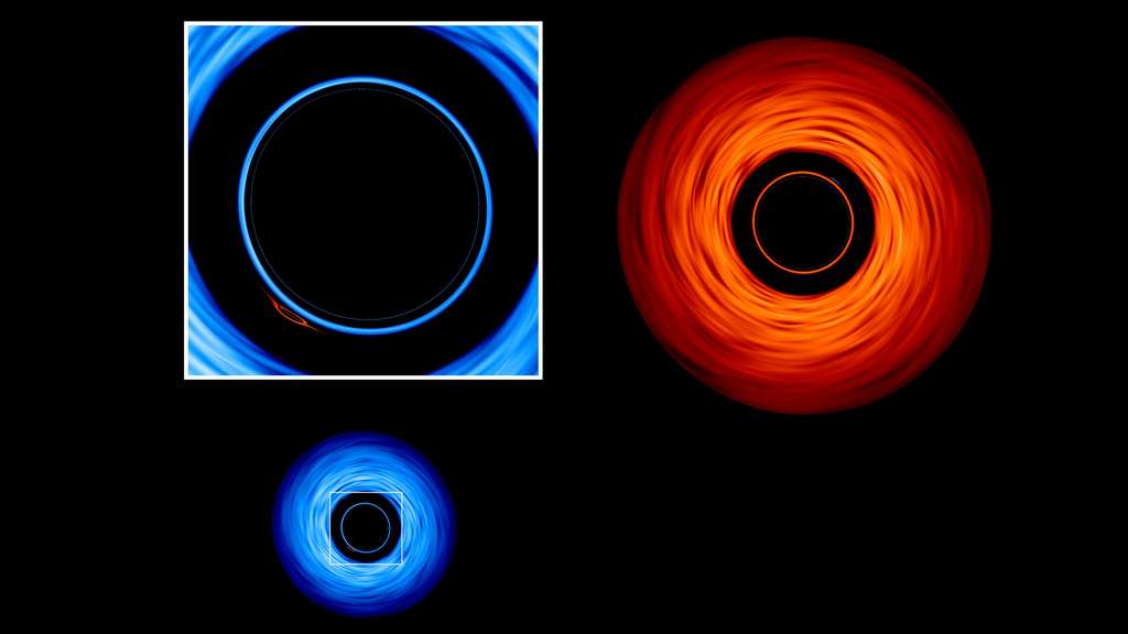 Une vue de face du système met en évidence l'image déformée du plus petit trou noir (en médaillon) de son plus grand compagnon (en rouge). © Goddard Space Flight Center de la Nasa, Jeremy Schnittman et Brian P. Powell