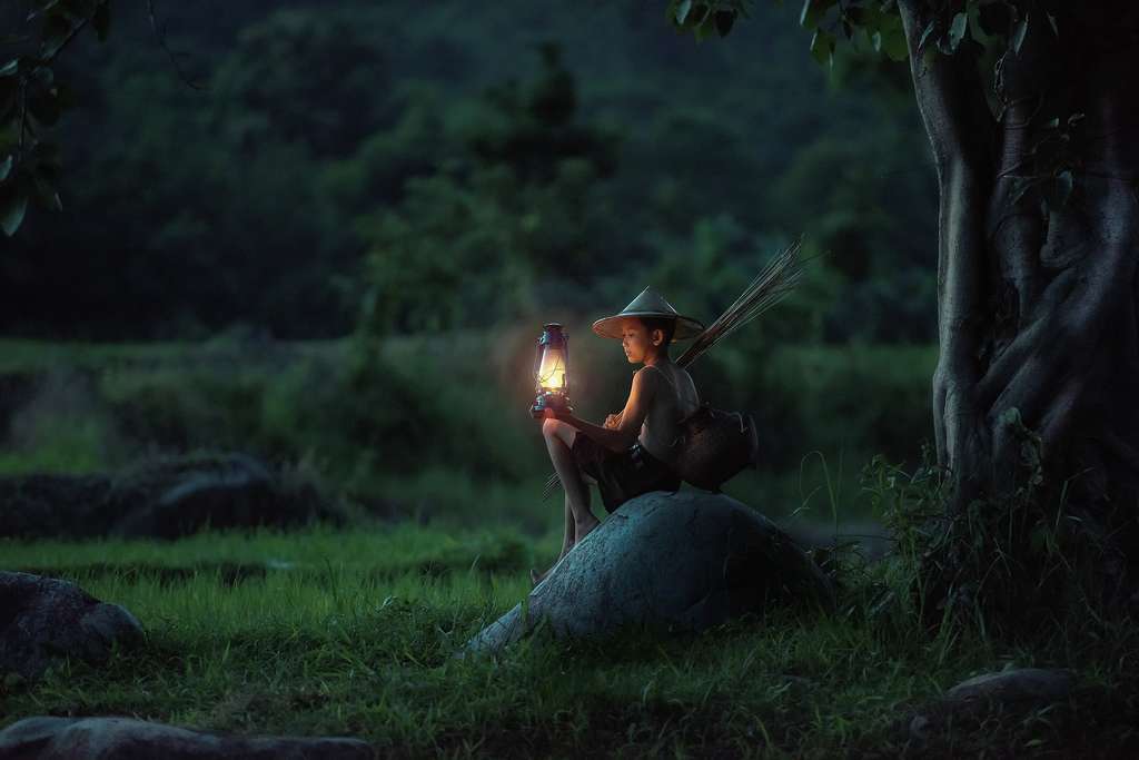 14,6 millions d’hectares. C’est la superficie de forêts naturelles que le Vietnam compte restaurer. Pour l’heure, l’engagement le plus important au monde en la matière. © sasint, Pixabay License