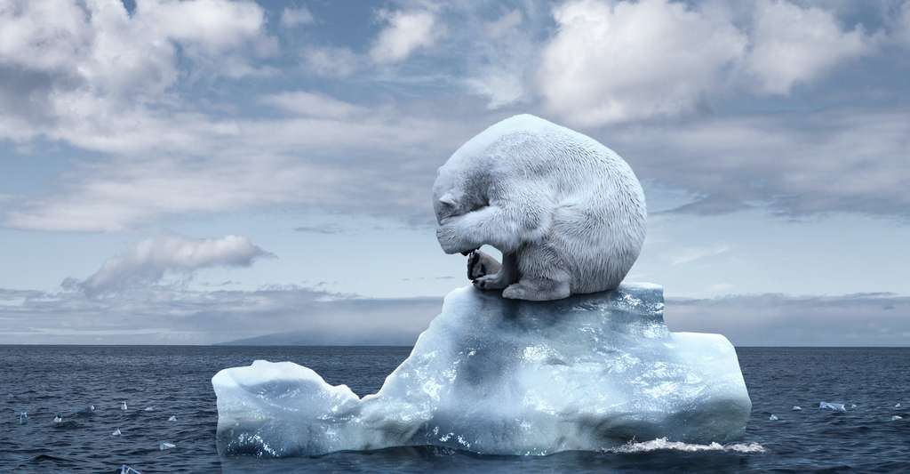 Rechauffement Climatique La Biodiversite Est En Grand Danger D Extinctions Massives Et Brutales