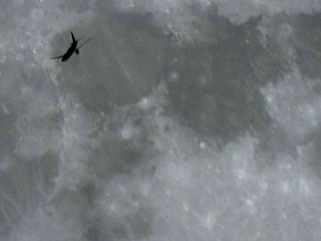 La Lune et l'avion La Lune et l'avion