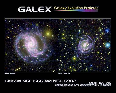 Cliquer pour agrandir. Les observations conjointes de Galex et des instruments du Cerro Tololo dans l'ultraviolet remettent en cause l'universalité de l'IMF. Ici, on voit deux galaxies, NGC 1566 et NGC 6902. Crédit : Nasa