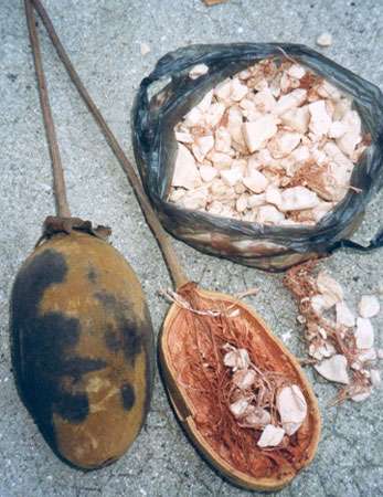Fruit de baobab fermé et ouvert avec leur pédoncule. Sac rempli de pain de singe. © S. Garnaud - Reproduction et utilisation interdites
