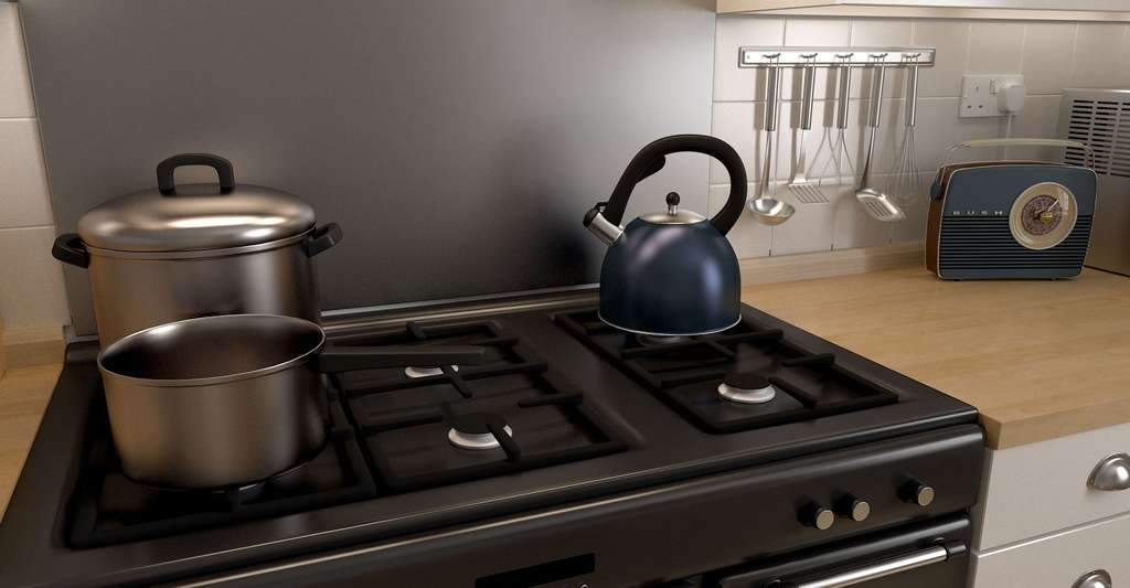 La cuisson est-elle une réelle protection contre la contamination ? © Monoar, CCO