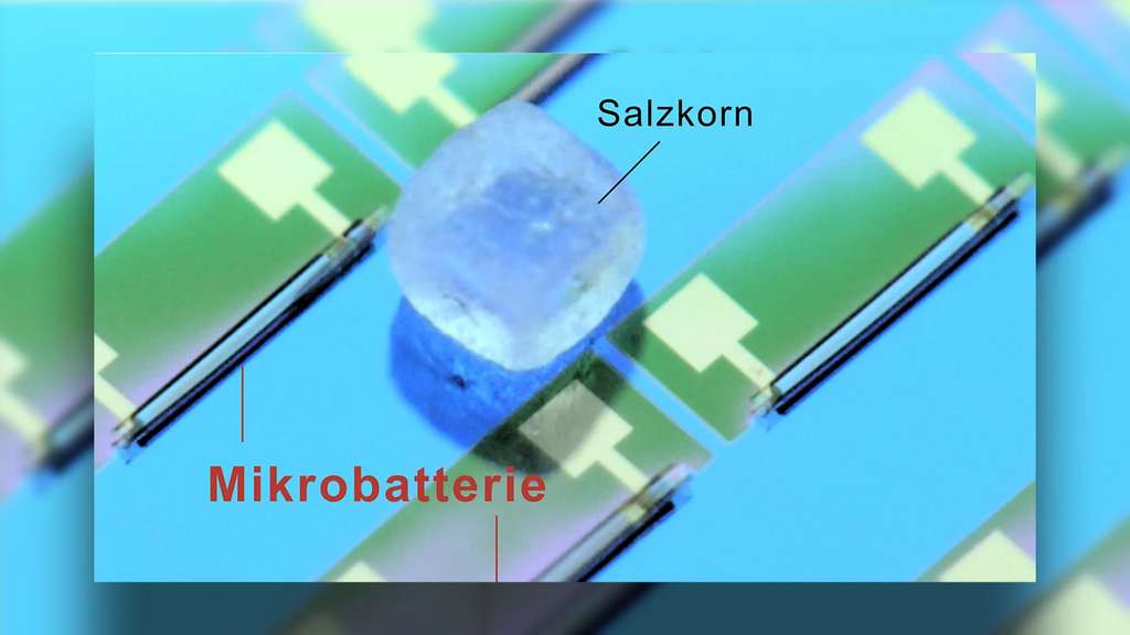 Comparaison entre un grain de sel et la batterie cylindrique. © Université de technologie de Chemnitz