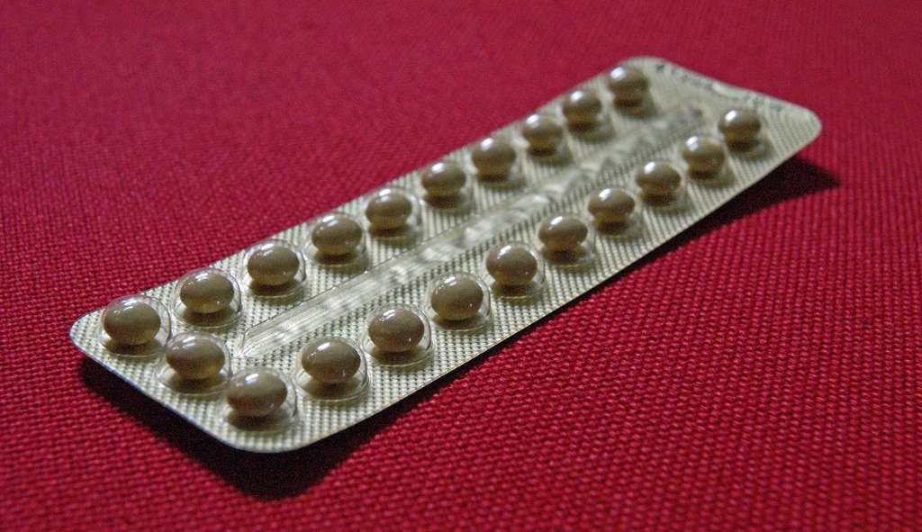 La pilule contraceptive peut éviter les variations d’hormones féminines avant la ménopause. © Pixabay, DP