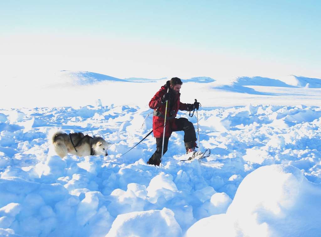 Julien Cabon et son chien Kinyak Julien Cabon et son chien Kinyak