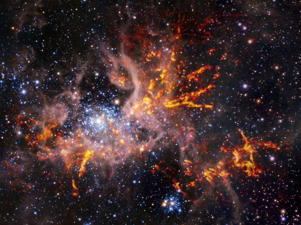 Cette image composite montre la région de formation d’étoiles 30 Doradus, également connue sous le nom de nébuleuse de la Tarentule. L’image de fond, prise dans l’infrarouge, est elle-même une image composite : elle a été capturée par les instruments HAWK-I sur le Very Large Telescope (VLT) et le Visible and Infrared Survey Telescope for Astronomy (Vista) de l’ESO. Elle montre des étoiles brillantes et des nuages légers et rosés de gaz chaud. Les bandes rouge-jaune brillantes qui ont été superposées à l’image proviennent d’observations radio effectuées par l’Atacama Large Millimeter/submillimeter Array (Alma), révélant des régions de gaz froid et dense qui ont le potentiel de s’effondrer et de former des étoiles. La structure unique en forme de toile des nuages de gaz de cette nébuleuse a conduit les astronomes à lui donner comme surnom le nom d’une araignée. © ESO, Alma (ESO/NAOJ/NRAO)/Wong et al., ESO/M.-R. Cioni/VISTA Magellanic Cloud survey. Acknowledgment: Cambridge Astronomical Survey Unit