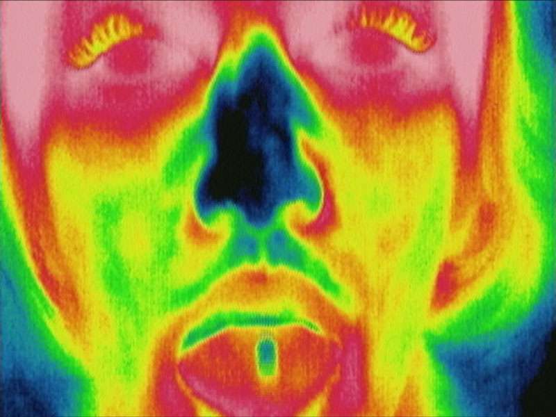 Le baiser en caméra thermique Le baiser en caméra thermique