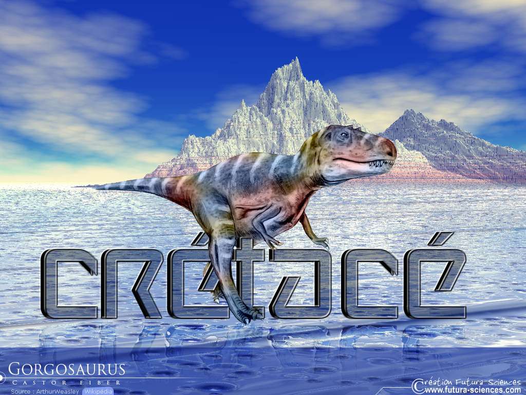 Gorgosaurus Gorgosaurus
