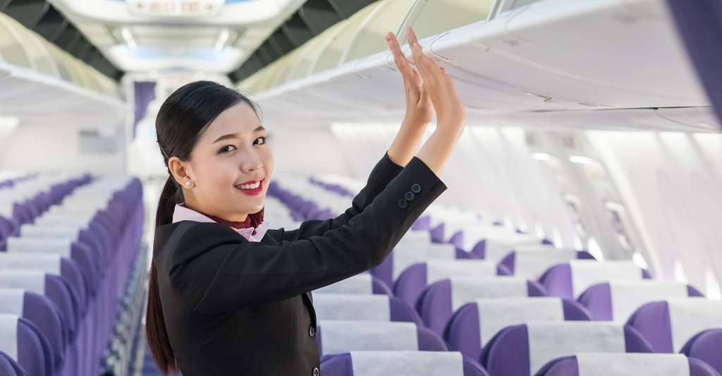 Toulouse: Pour lutter contre la peur de l'avion, ils inventent un