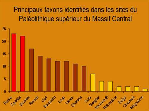 Fig. 3 - Nombre d'occurrences des principaux taxons identifiés dans les 29 sites du Paléolithique supérieur du Massif central.