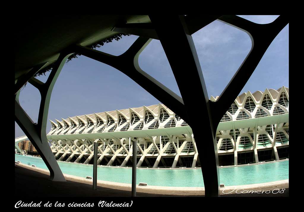 Le musée des sciences Príncipe Felipe, à Valence Le musée des sciences Príncipe Felipe, à Valence