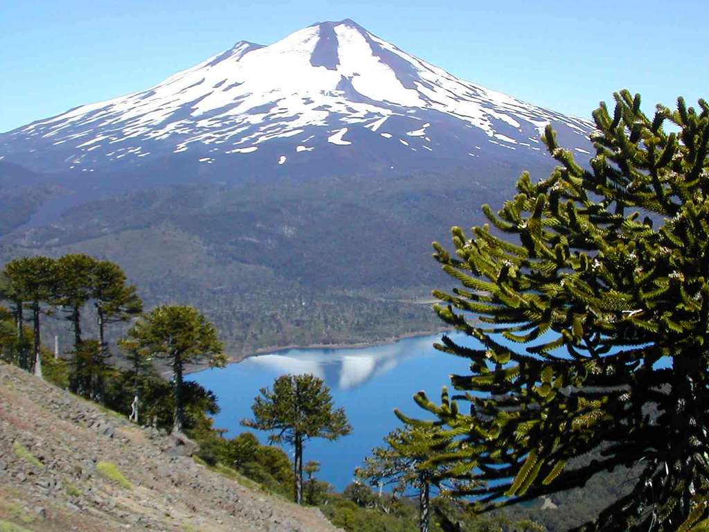 Chili : Volcan Llaime Chili : Volcan Llaime